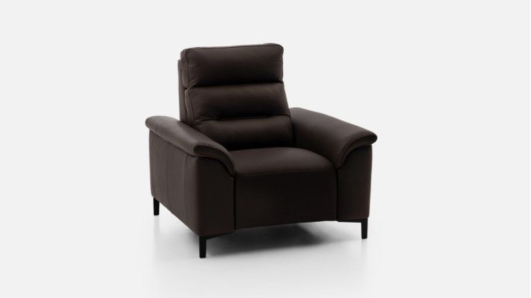 Fauteuil cuir ALBATROS