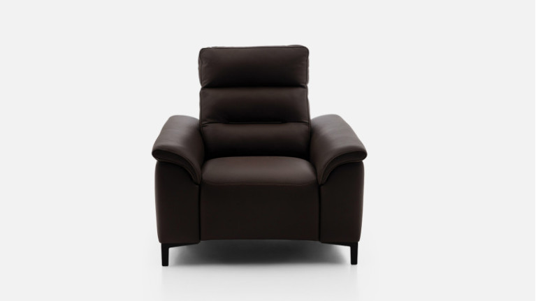 Fauteuil cuir ALBATROS