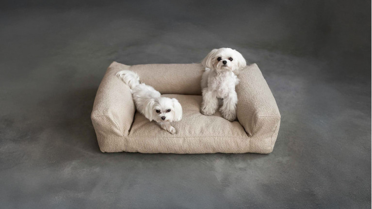 Panier pour chien BICHON | Design et confortable