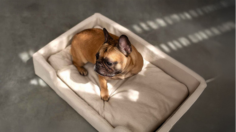 Panier pour chien SHIBA | Design et confortable