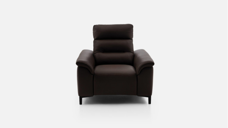 Fauteuil cuir ALBATROS | Confort moelleux