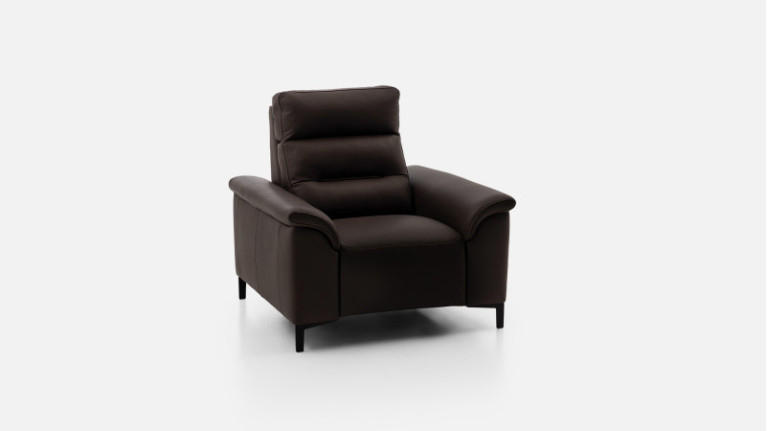 Fauteuil cuir ALBATROS | Confort moelleux